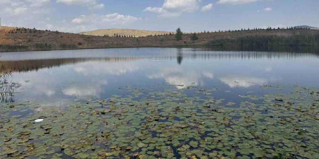 Yeşil ve mavi bu iki noktada buluşuyor! 1700 rakımda cennet: Fotoğrafçılar, kampçılar, doğaseverler akın ediyor 6